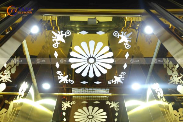 Nội thất cabin thang máy dành cho biệt thự