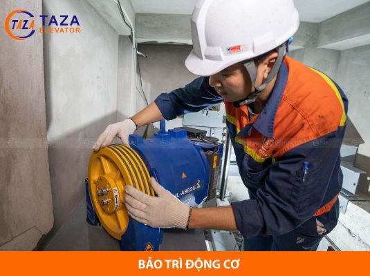 7 hạng mục bảo trì thang máy định kỳ không thể bỏ qua