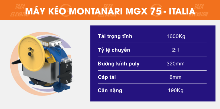 Động cơ Montanari MGX75
